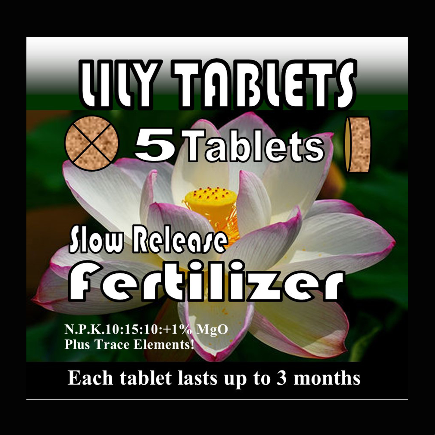 Lily Tabs Slow release water lily fertiliser tablets 5 pack