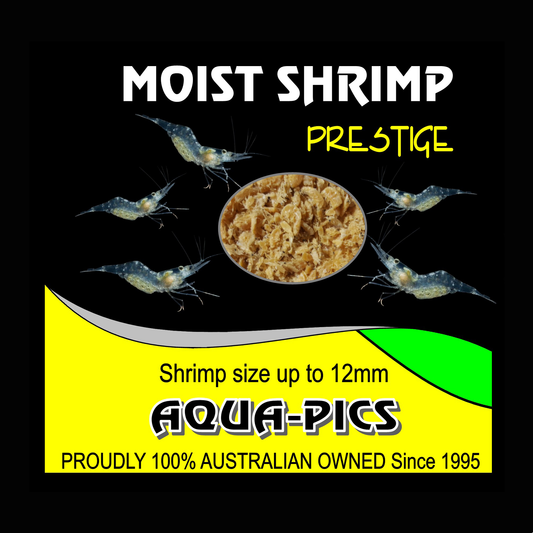 Moist Shrimp 110g High Protein Fish Food