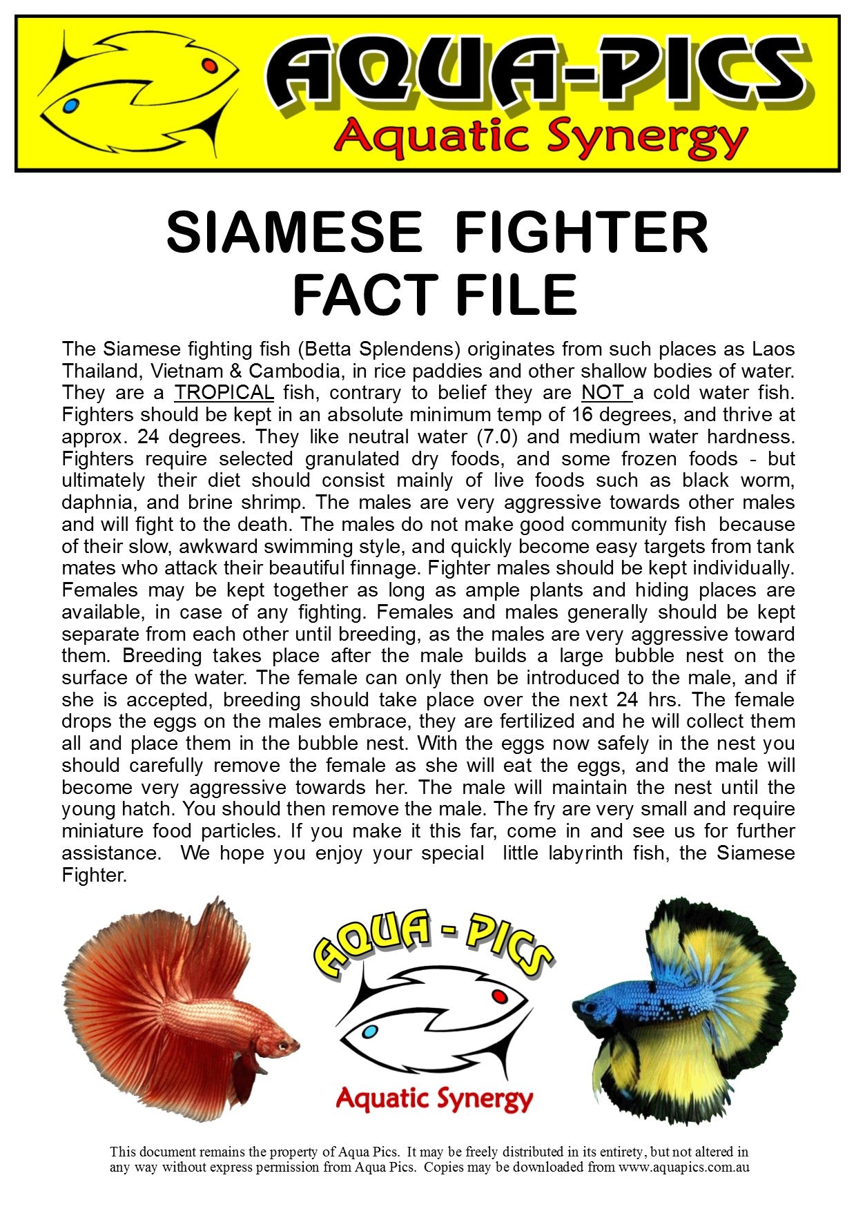 Fighter GH Conditioner For Betta Siamese Fighting Fish 50g