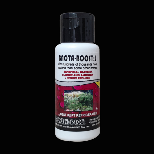 Bacta-Boost Liquid Beneficial Bacteria Supplement 50ml (formerly Bacta-Boost L)