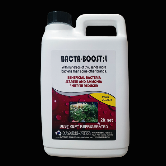 Bacta-Boost L Liquid Beneficial Bacteria Supplement 2 litre