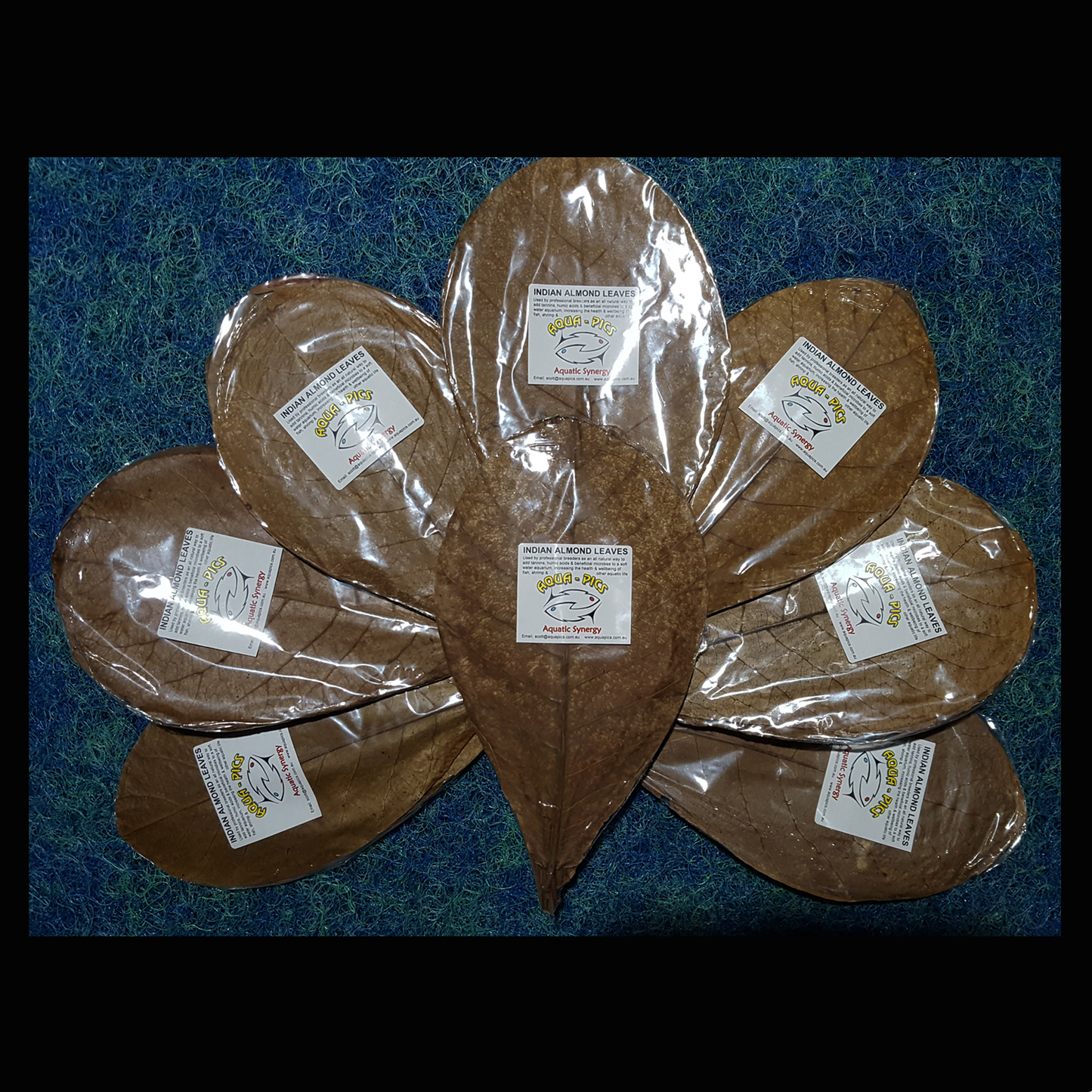 Indian Almond Leaves (Premium AAA Grade) 10 pack