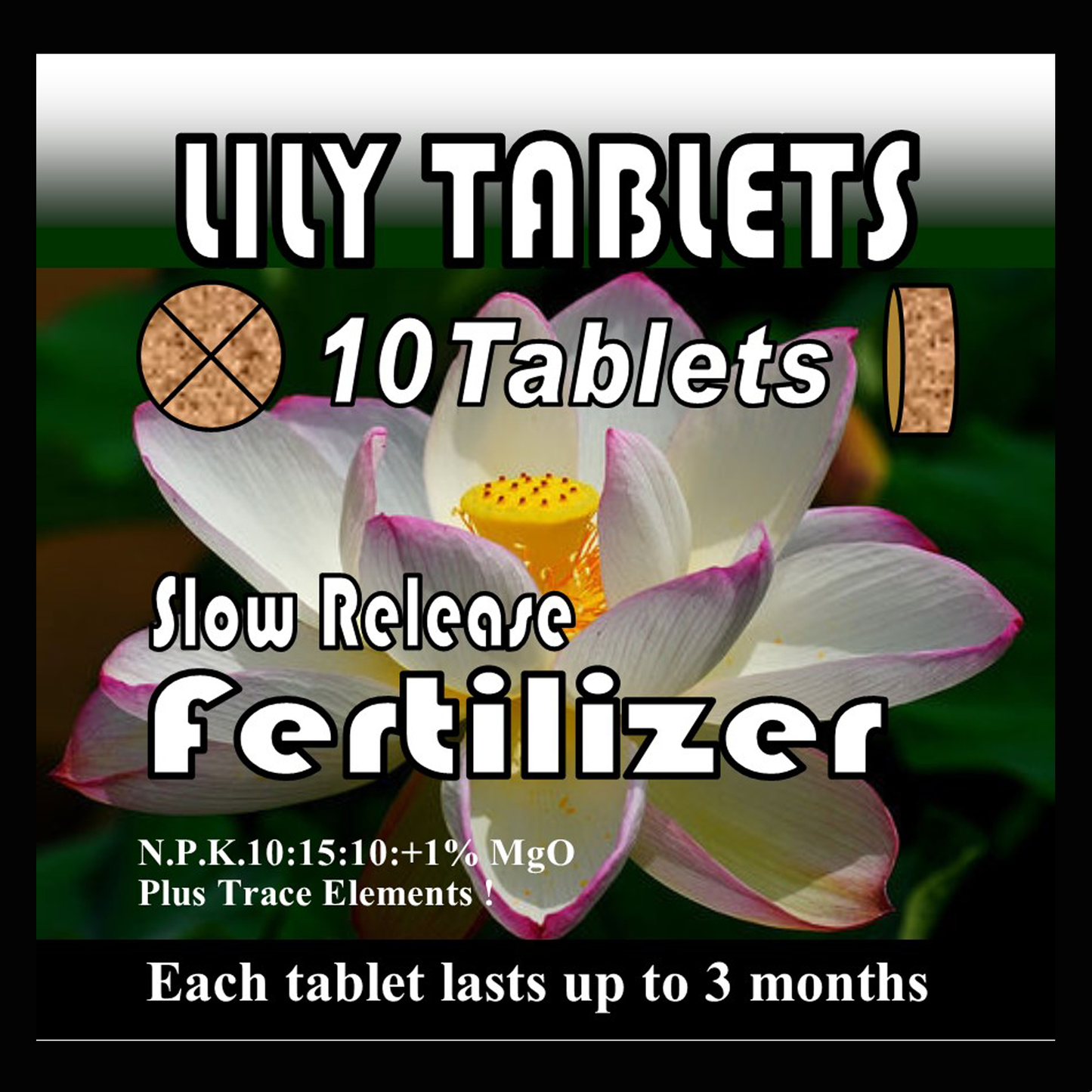 Lily Tabs Slow release water lily fertiliser tablets 10 pack