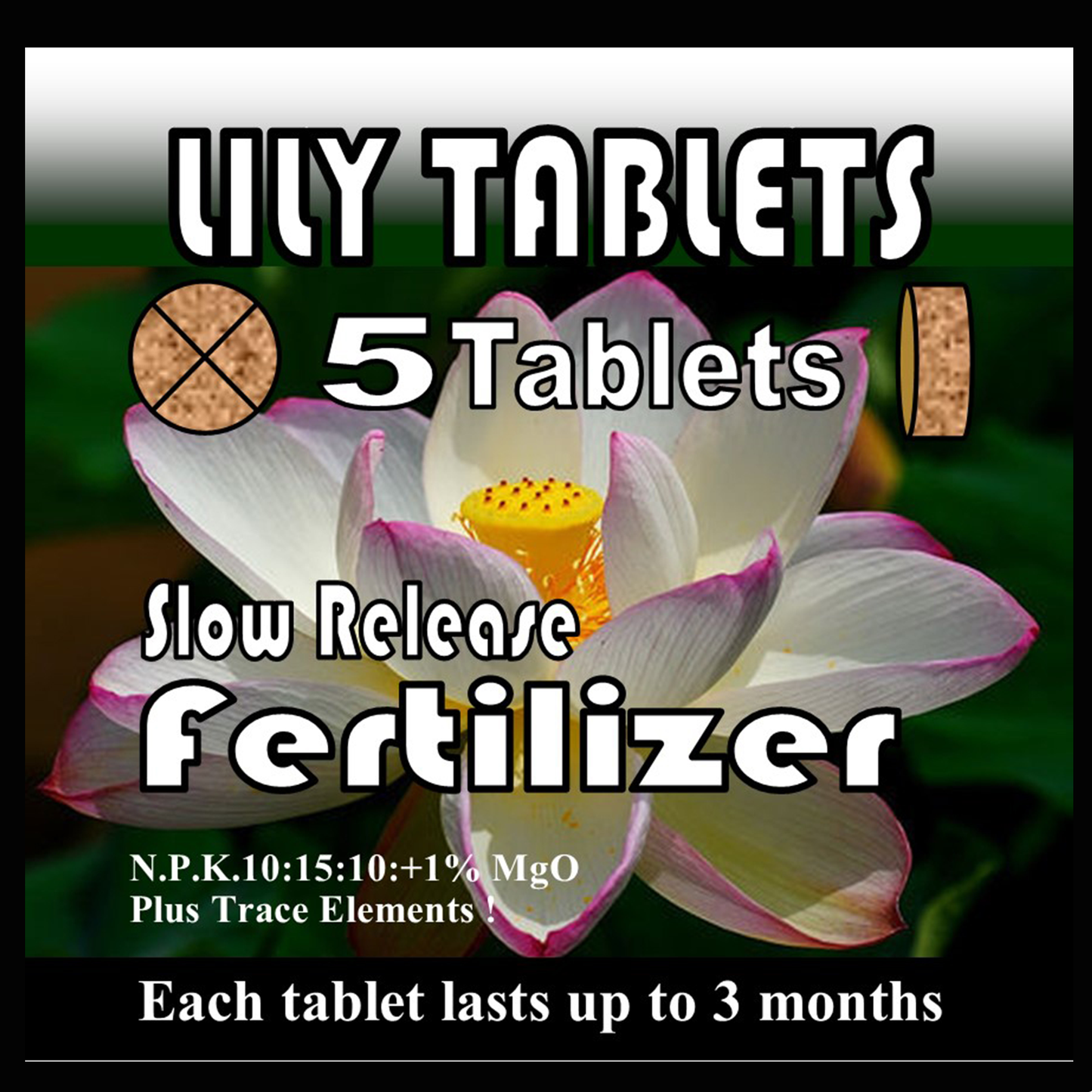 Lily Tabs Slow release water lily fertiliser tablets 5 pack
